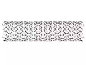 stent auto-expansible pour carotide