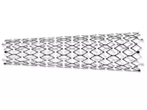 stent auto-expansible pour carotide