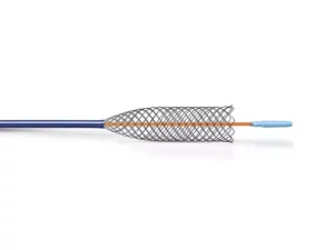 Image stent auto-expansible Jaguar