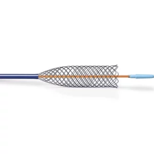 Stent Jaguar auto-expansible DaoLab