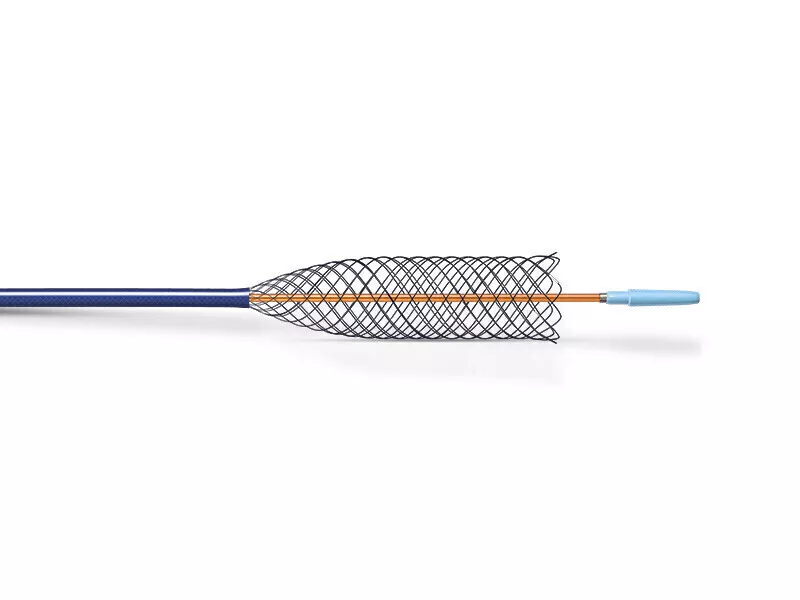 Image stent auto-expansible Jaguar